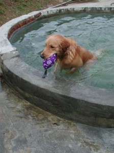 1380945840-2185573043