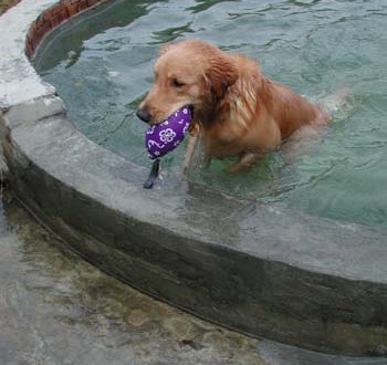 1380945840-2185573043