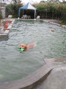 1380945840-500086003