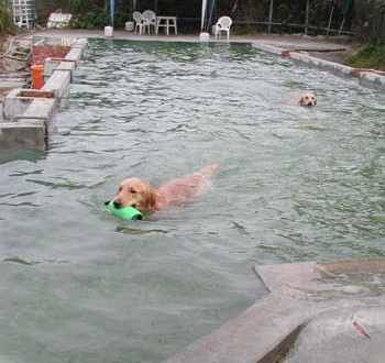 1380945840-500086003