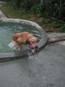 1380945840-853741296