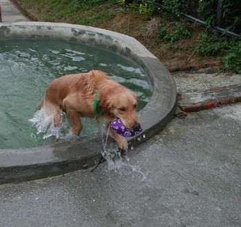 1380945840-853741296