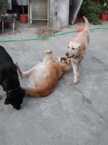 1380945846-719787786