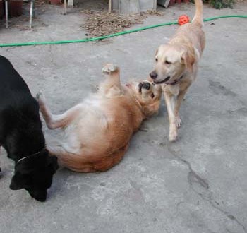 1380945846-719787786