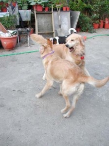 1380945847-3391787305