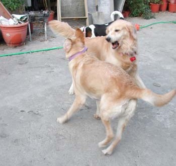 1380945847-3391787305