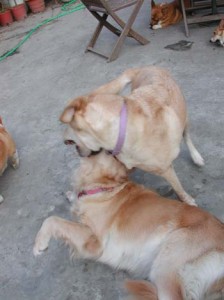 1380945847-3435189179