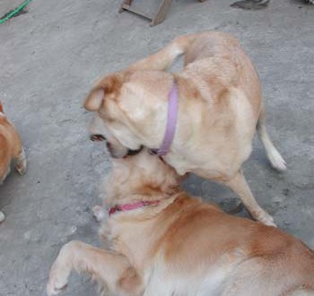 1380945847-3435189179