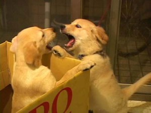 1380945848-1851601253