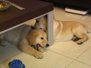 1380945848-4277057794