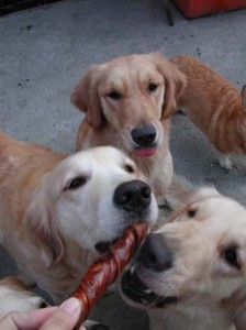 1380945850-3170343719