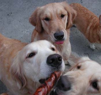 1380945850-3170343719