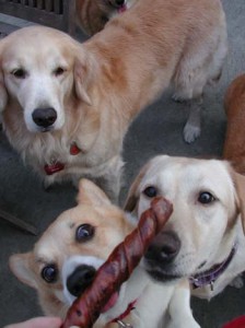 1380945850-3388664556