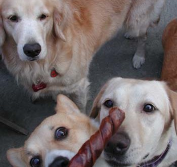 1380945850-3388664556