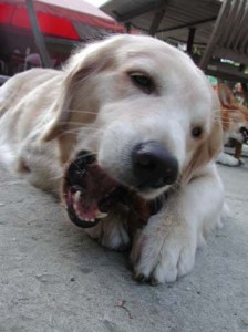 1380945851-206797210