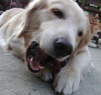 1380945851-206797210