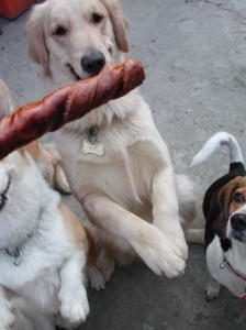 1380945851-3760718550