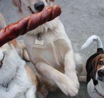 1380945851-3760718550