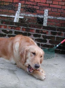 1380945852-3120993823