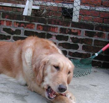 1380945852-3120993823