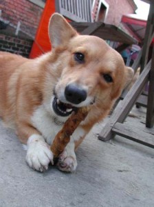 1380945852-603594810