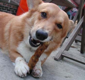 1380945852-603594810