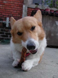 1380945853-115270984