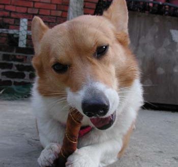 1380945853-115270984