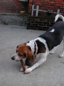 1380945853-569840054