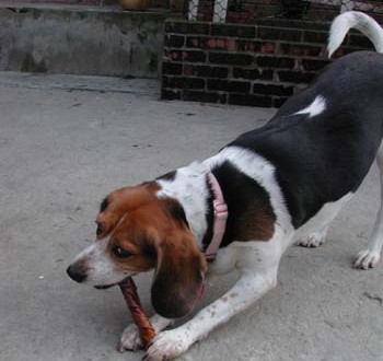 1380945853-569840054