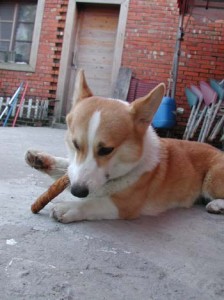 1380945853-636924518