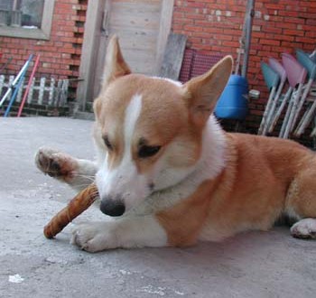 1380945853-636924518