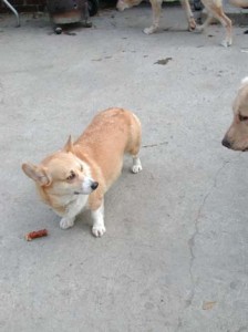 1380945854-2148220920