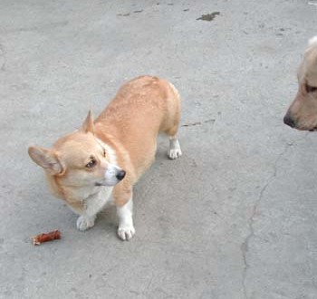 1380945854-2148220920