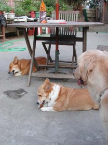 1380945855-3327511008