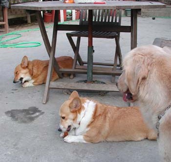 1380945855-3327511008