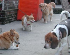 1380945855-668453443