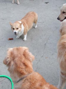 1380945856-3118758745