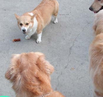 1380945856-3118758745