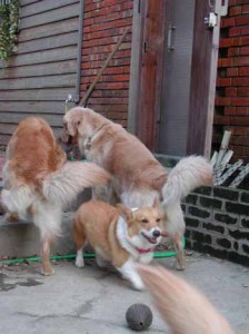 1380945856-730876177