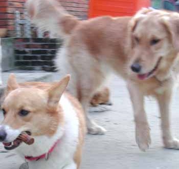 1380945857-2967721163