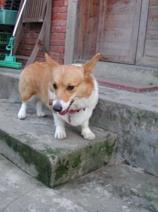 1380945857-3768857970