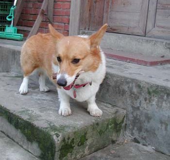 1380945857-3768857970