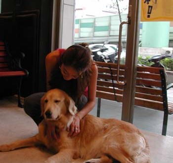 1380945861-2362185560