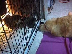 1380945863-1658756598