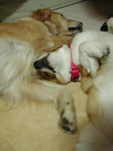 1380945863-2536181750