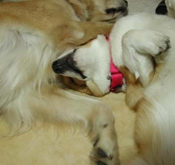 1380945863-2536181750