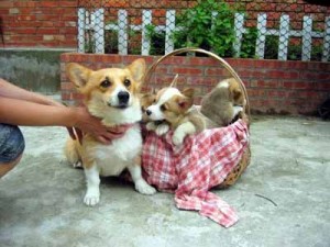 1380945863-3460613505