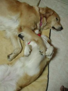 1380945864-2841639043