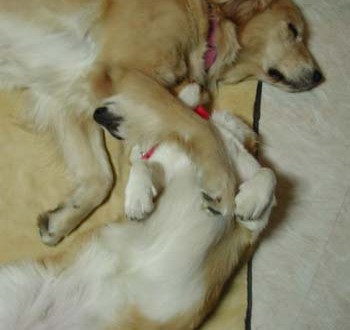 1380945864-2841639043